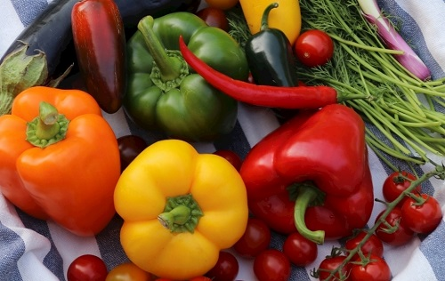 食品安全檢測儀在保證食品質量方面有哪些優勢？