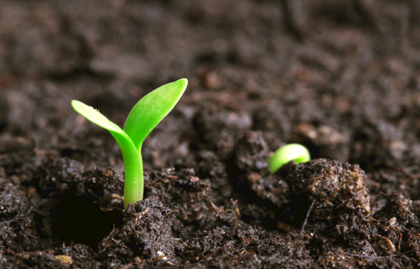 什么是土壤重金屬檢測儀?土壤重金屬檢測儀的檢測原理