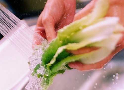 高性價比推薦--農(nóng)藥殘留快速檢測儀的作用 農(nóng)藥殘留去除方法詳解