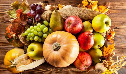 食品安全檢測儀靠譜嗎?出口貿易的監督者