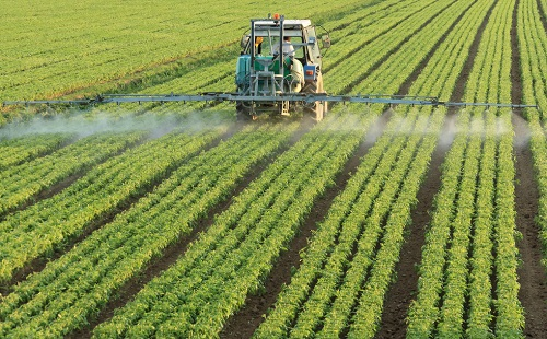 農藥殘留問題更為明顯,農藥殘留檢測儀保障食品安全