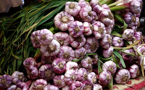 農藥殘留檢測儀怎么樣:農藥殘留檢測儀在農貿市場中的應用