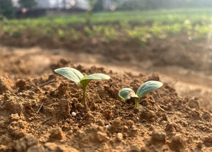 土壤重金屬分析儀的作用(土壤重金屬檢測儀用途詳解)