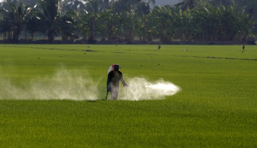 全自動農藥殘留檢測儀的功能特點有哪些?