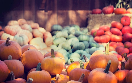 科學儀器的支持---農藥殘留檢測儀對農業生產的重要性!