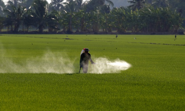 瓜果蔬菜的農藥殘留怎么規避?如何判斷食品是否含有農藥殘留