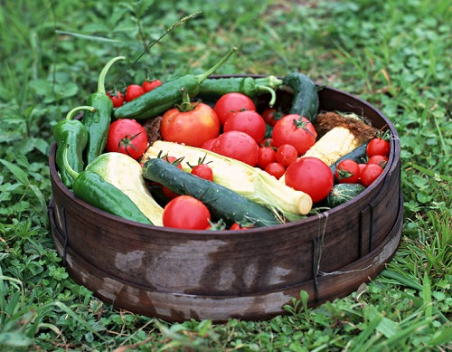 到底什么是農藥殘留超標?農藥殘留檢測儀避免農藥殘留超標