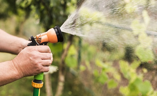 蔬果買回用農殘檢測儀測一測,食品安全更放心!