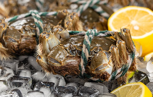 隔夜蟹、死螃蟹到底能不能吃？小心菌落總數激增