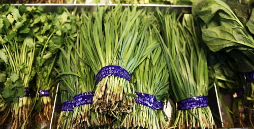 韭菜農藥殘留超標如何解決？兩方面合力保障食品安全