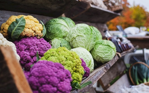 食品安全檢測儀在保證食品質(zhì)量方面有哪些優(yōu)勢?