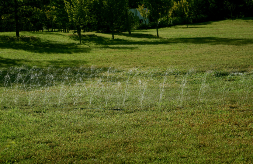 農(nóng)田智能化:土壤水分測定儀實時評估土壤水分狀況