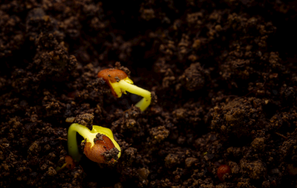 提升農(nóng)作物生產(chǎn)!肥料養(yǎng)分含量測定儀幫您準(zhǔn)確分析土壤和肥料